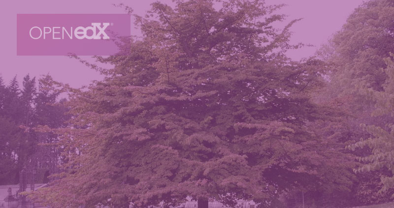 Open edX Issues Ironwood.2, a New Release of Its Platform