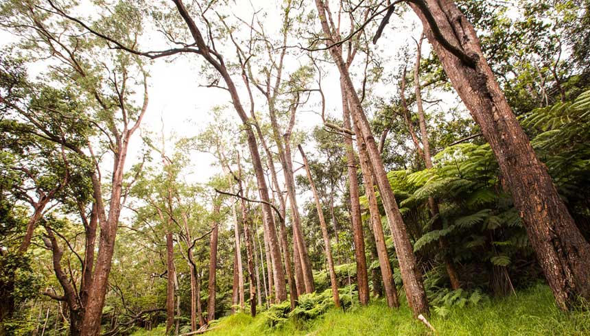 edX Releases Its Latest Open Platform Named Koa