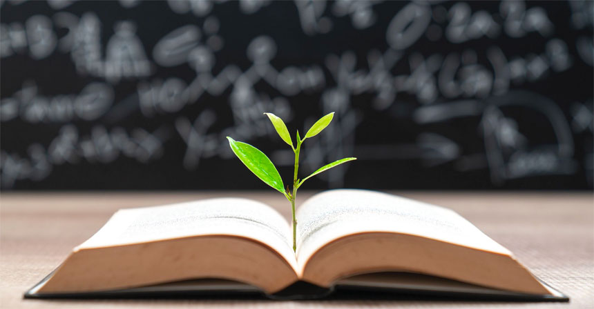 Crypto Deepens Financial Literacy Education Gaps Across Millennials