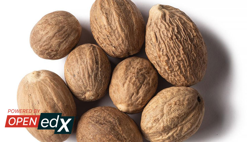 The tCRIL Organization Releases Nutmeg, the 14th Version of the Open edX Platform