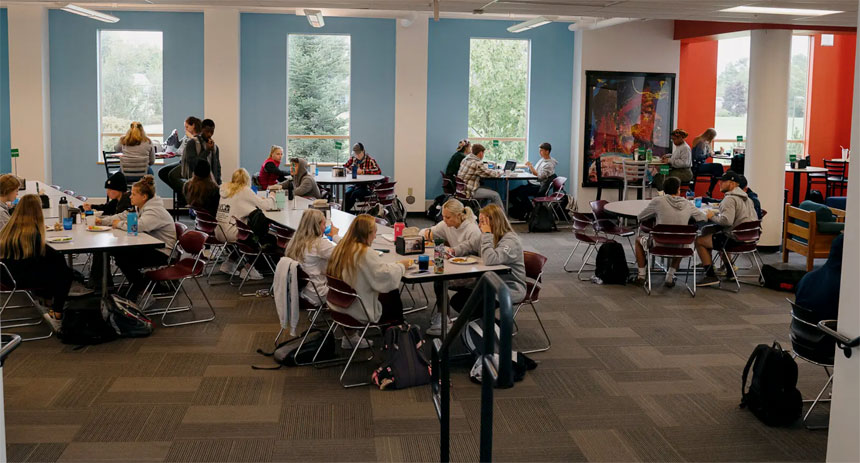 Many Private Colleges React to Decline in Enrollment by Cutting Tuition in Half