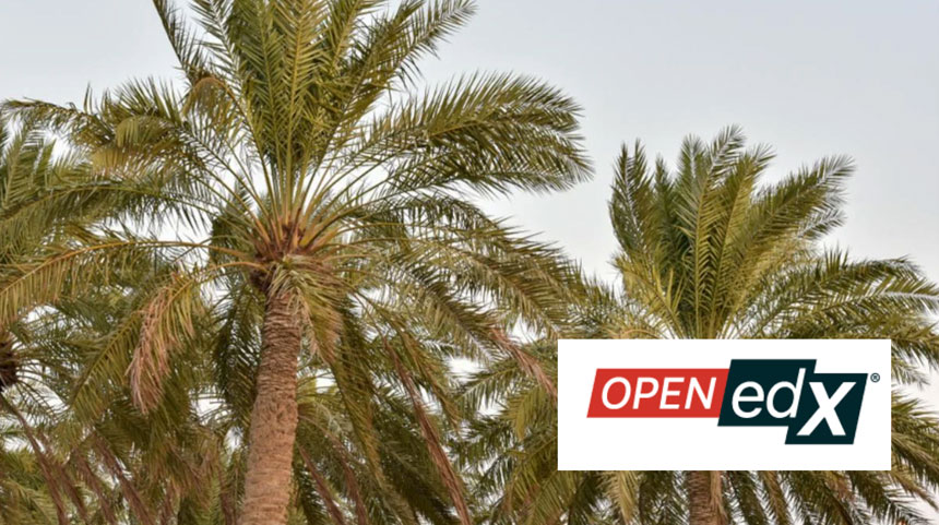 Axim Collaborative Releases Palm, the 16th Version of the Open edX Platform