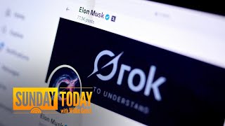 AI chatbot Grok apologizes for antisemitic posts