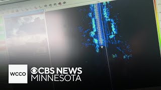 How this Minnesota city is using AI to monitor tree health