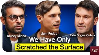 Building an artificial intelligence physicist