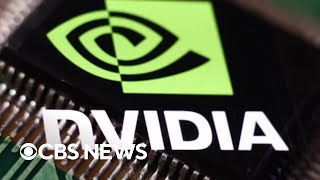 Stocks plummet amid growing concerns about the AI bubble.