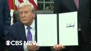 Breaking down what Trump's executive order to block state AI regulations means