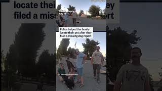 Dog reunited with owners after being lost for nearly 10 days