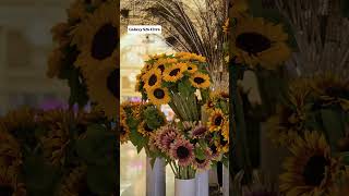 Camera Comparison: iPhone 18 Pro vs. Samsung Galaxy S26 Ultra