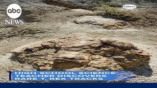 High school science teacher discovers rare T. Rex tracks